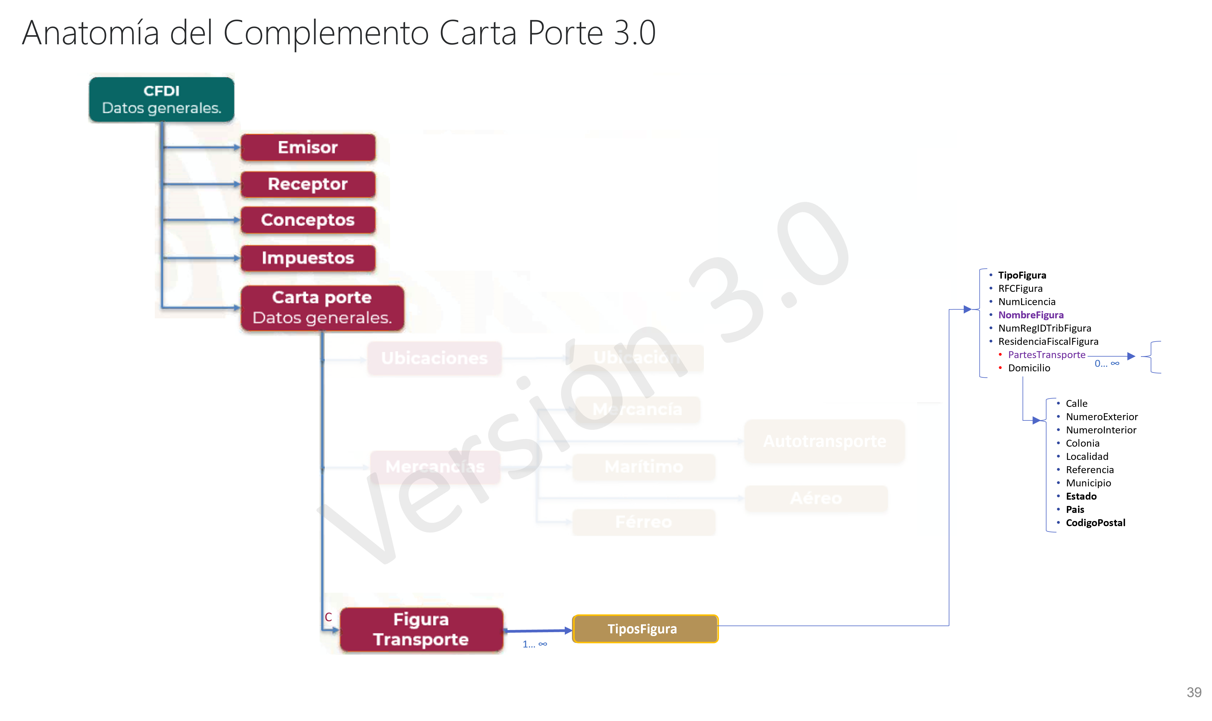 Anatomia CCP30_3.jpg.png