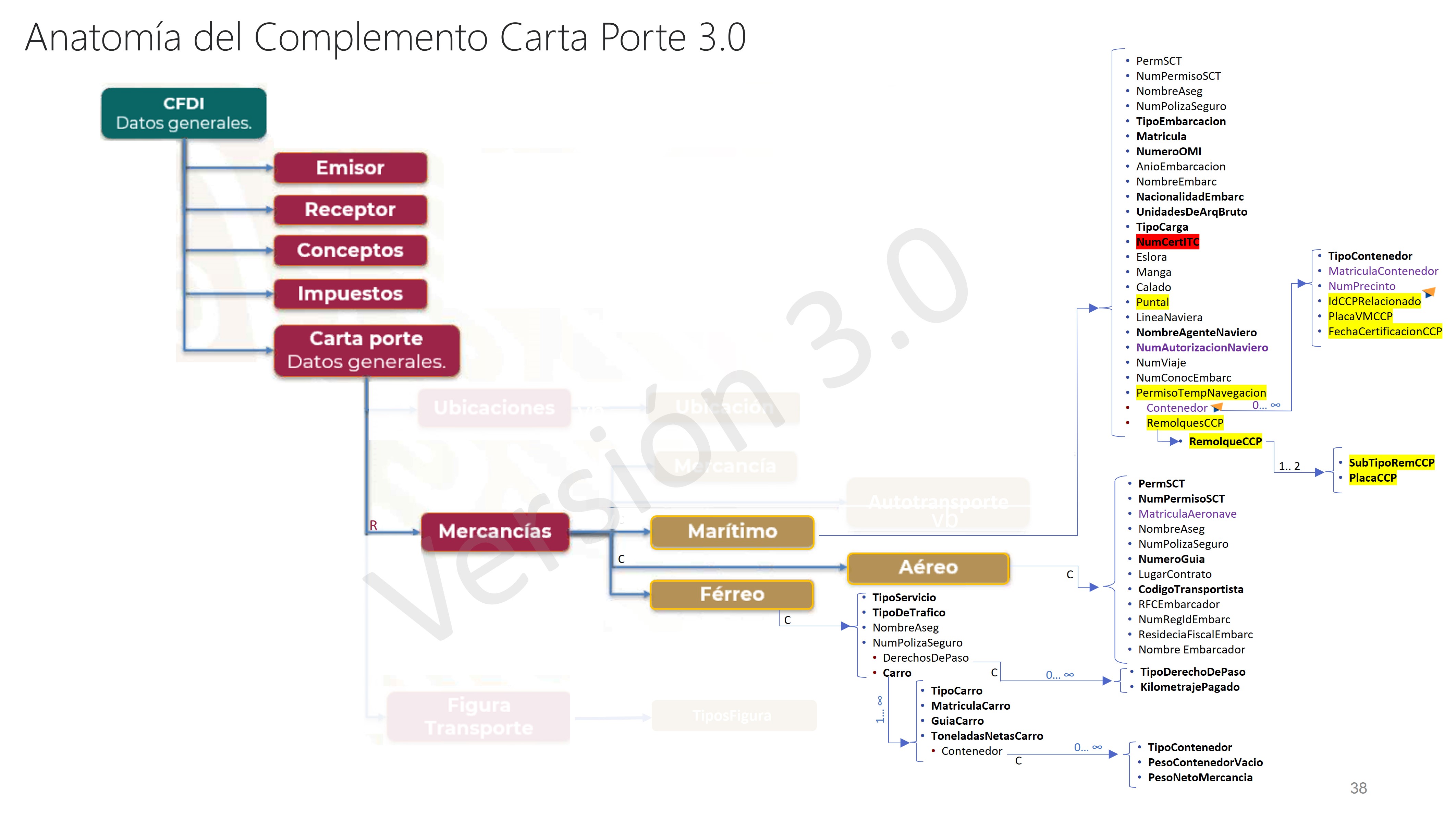 Anatomia CCP30_2.jpg