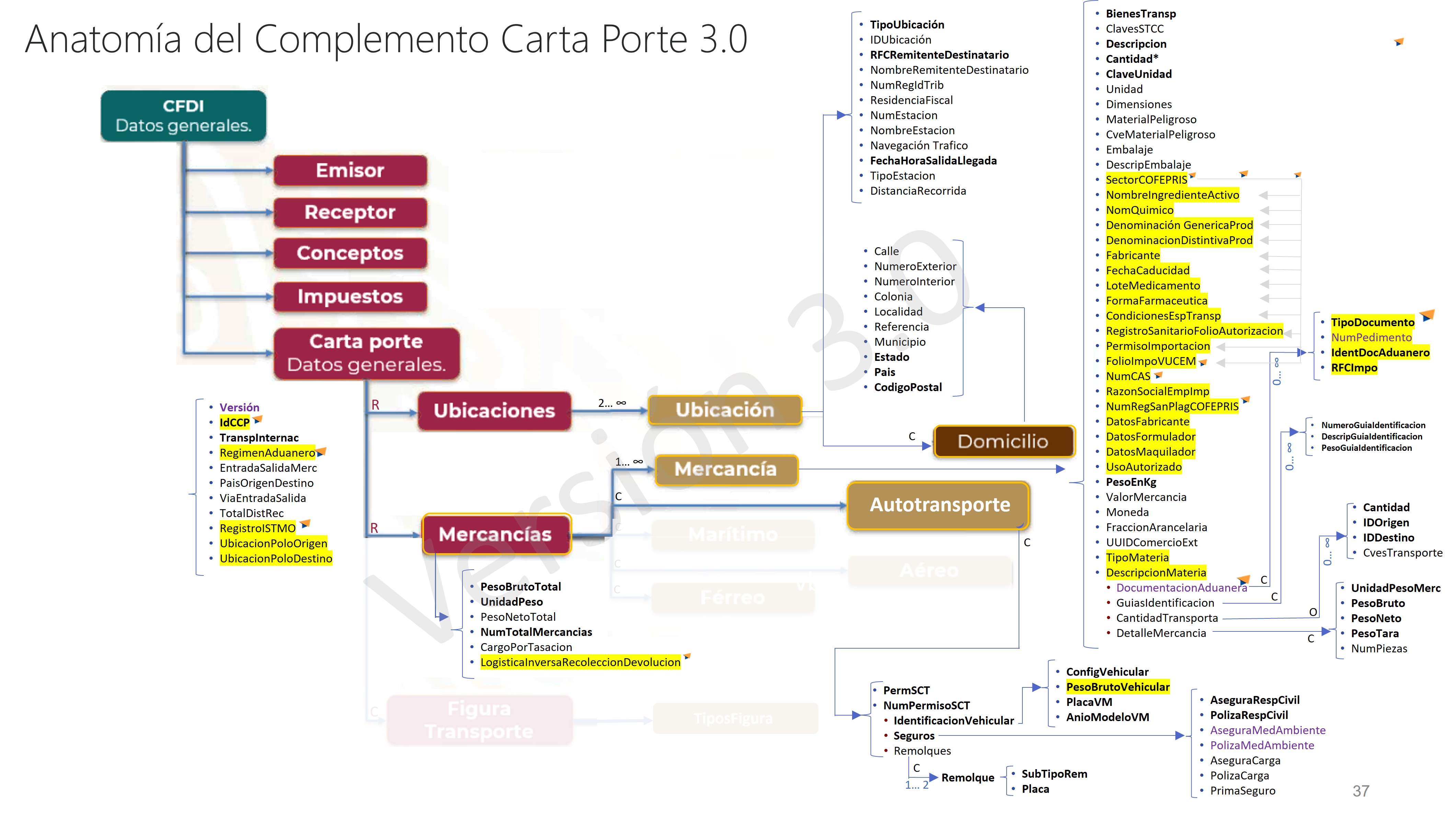 Anatomia CCP30.jpg